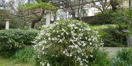 Le jardin historique de Villa Engelmann