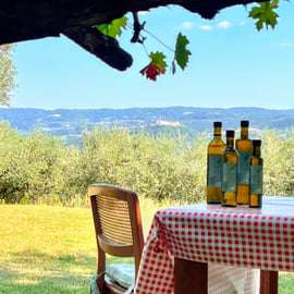 Northern Istria: Olive Oil Tasting with scenic landscape