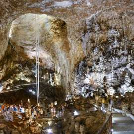 Sgonico (Trieste): Grotta Gigante Guided Tour & Museum Entry