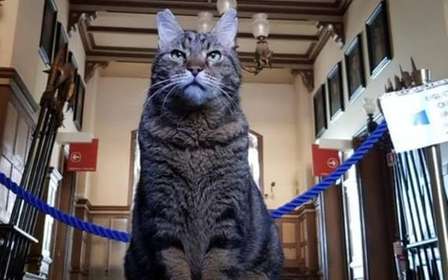 Trieste: Miramare Castle Family Tour with Max the Cat