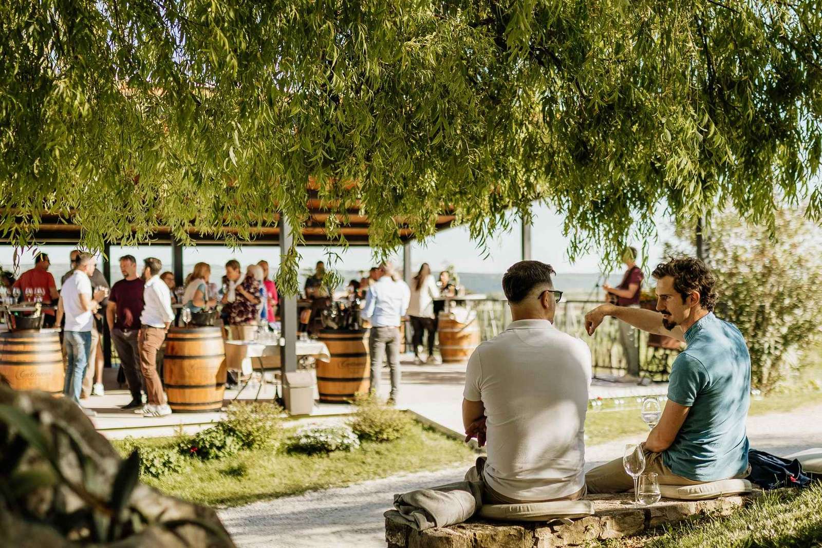 Istria: 4 Soils Malvazija Wine Tasting at Cattunar