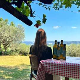 Northern Istria: Olive Oil Tasting with scenic landscape