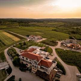 Istria's Queens: Wine, Oil & Truffle Tasting at Cattunar