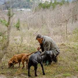 Motovun: Truffle Hunt & 3-Course Brunch with Locals