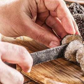 Livade: Guided Truffle Hunting Walking Tour