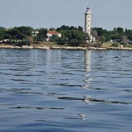 From Umag: Boat Tour to Savudrija with Swimming and Dolphins