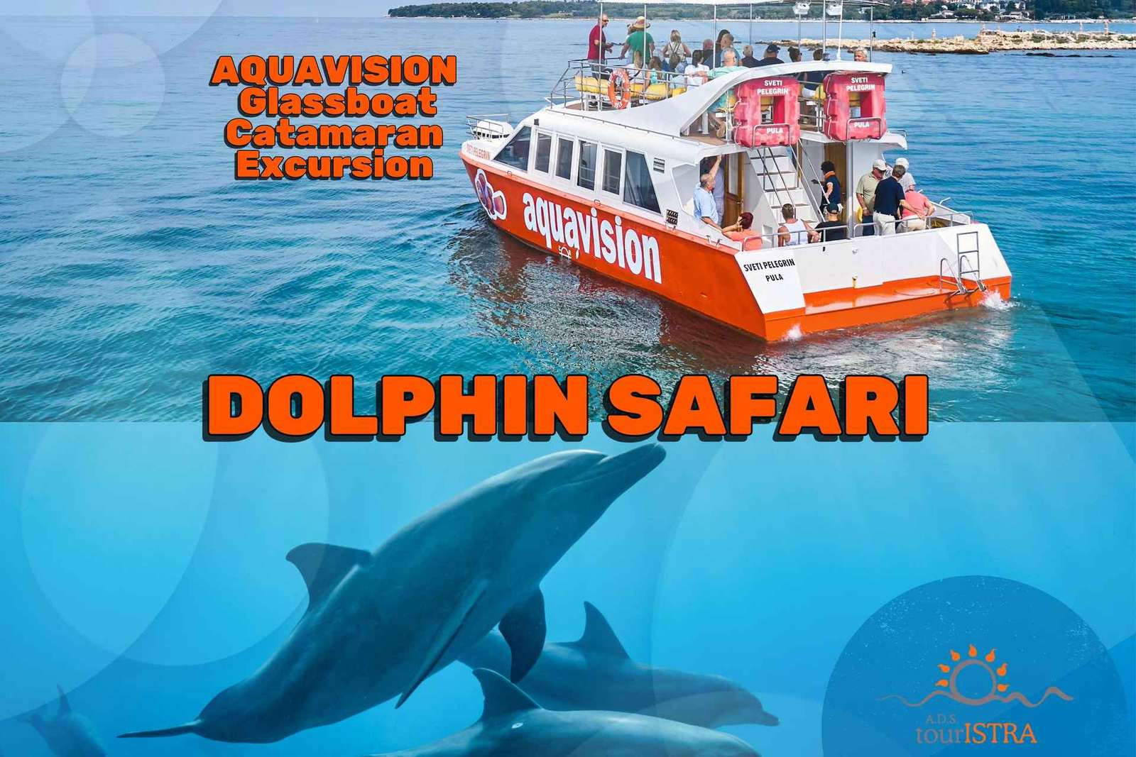 Umag: Dolphin Watching Catamaran Cruise with Glass Bottom
