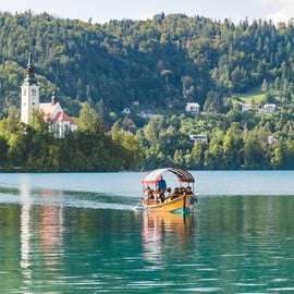 From Koper: Bled & Ljubljana Cruise Trip with Guide