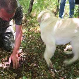 Istrie - Truffes : Chasse, cuisine et dégustation, Slovénie