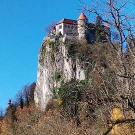 Vanuit Triëst: privé-dagtour naar het Meer van Bled en Radovljica