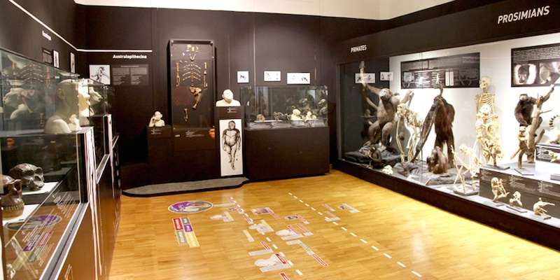 Natural History Museum
