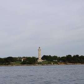 Umag: Dolphin Watching Catamaran Cruise with Glass Bottom