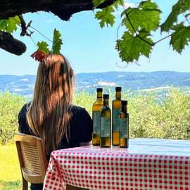 Northern Istria: Olive Oil Tasting with scenic landscape