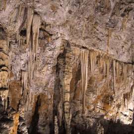 Sgonico (Trieste): Grotta Gigante Guided Tour & Museum Entry